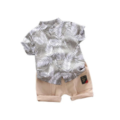 Boy Summer Shirts + Shorts Set