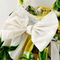 Baby Girls Summer Bow Dress