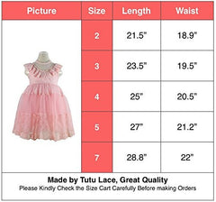 Girls Tutu Lace Pink Dress