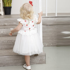 Baby Girls Princess Dress