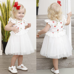 Baby Girls Princess Dress