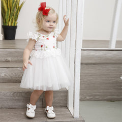 Baby Girls Princess Dress