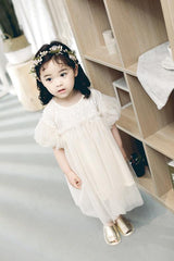 Baby Girl Spring Princess Dress