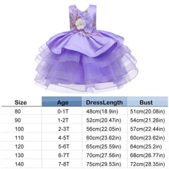 Girl Tutu Princess Dress