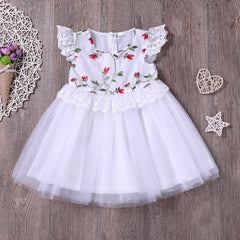 Baby Girls Princess Dress